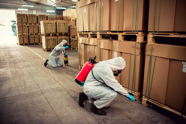 Best Pest Inspection Near Me  in South Sarasota, FL