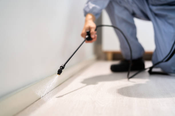 Professional Pest Control in South Sarasota, FL