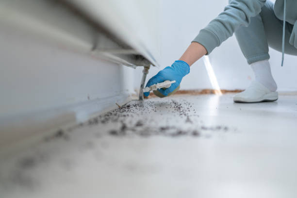 Best Affordable Pest Control Services  in South Sarasota, FL